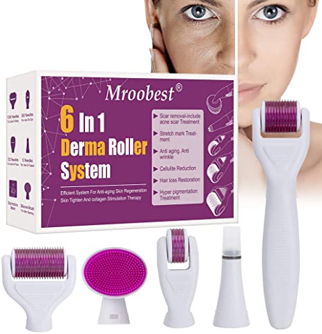 6 in 1 derma roller